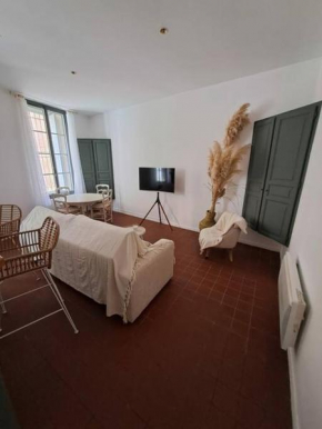 hypercentre, appartement coquet en rez-de-chaussée
